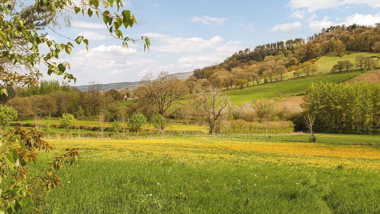 Photo of Others in Hope Bowdler