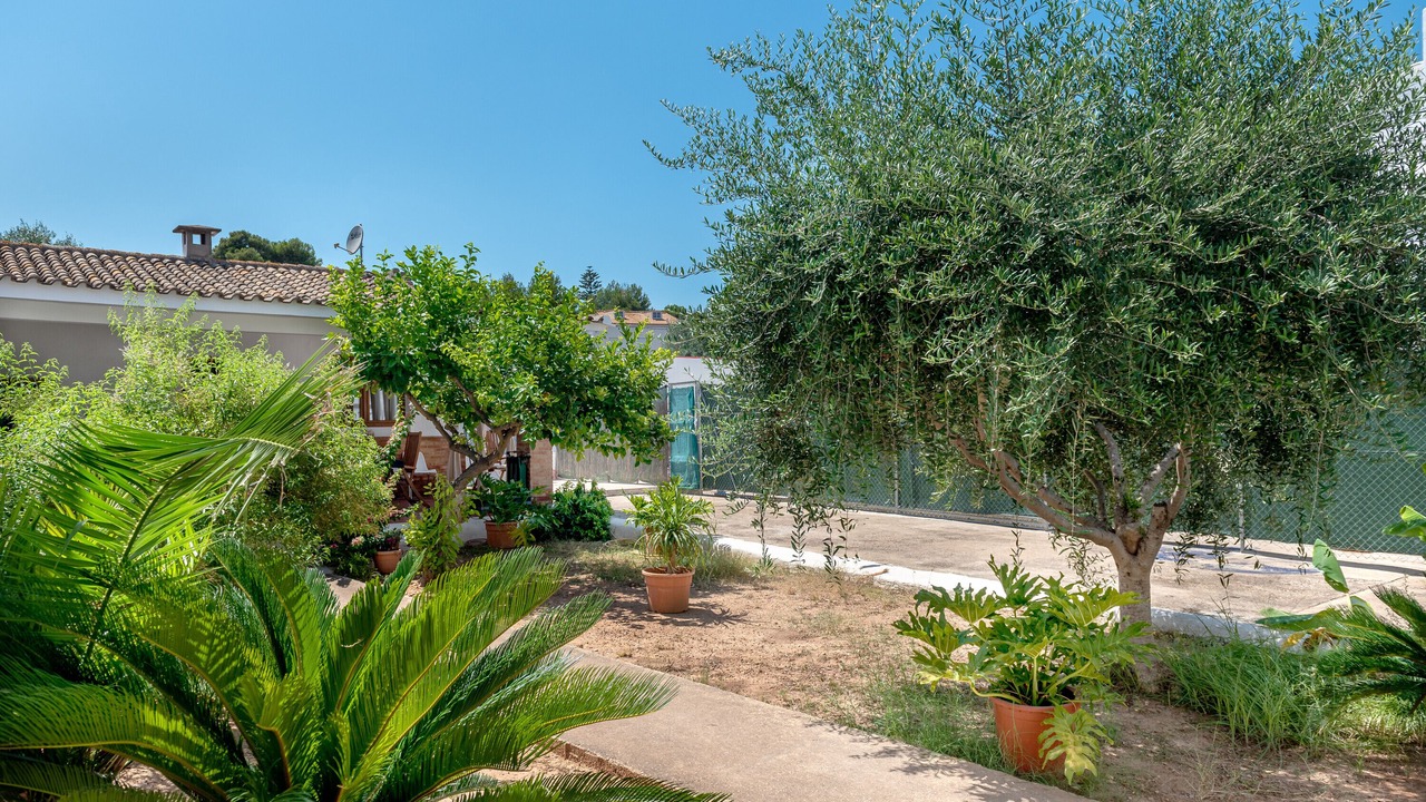 Photo of Outdoor in Catadau