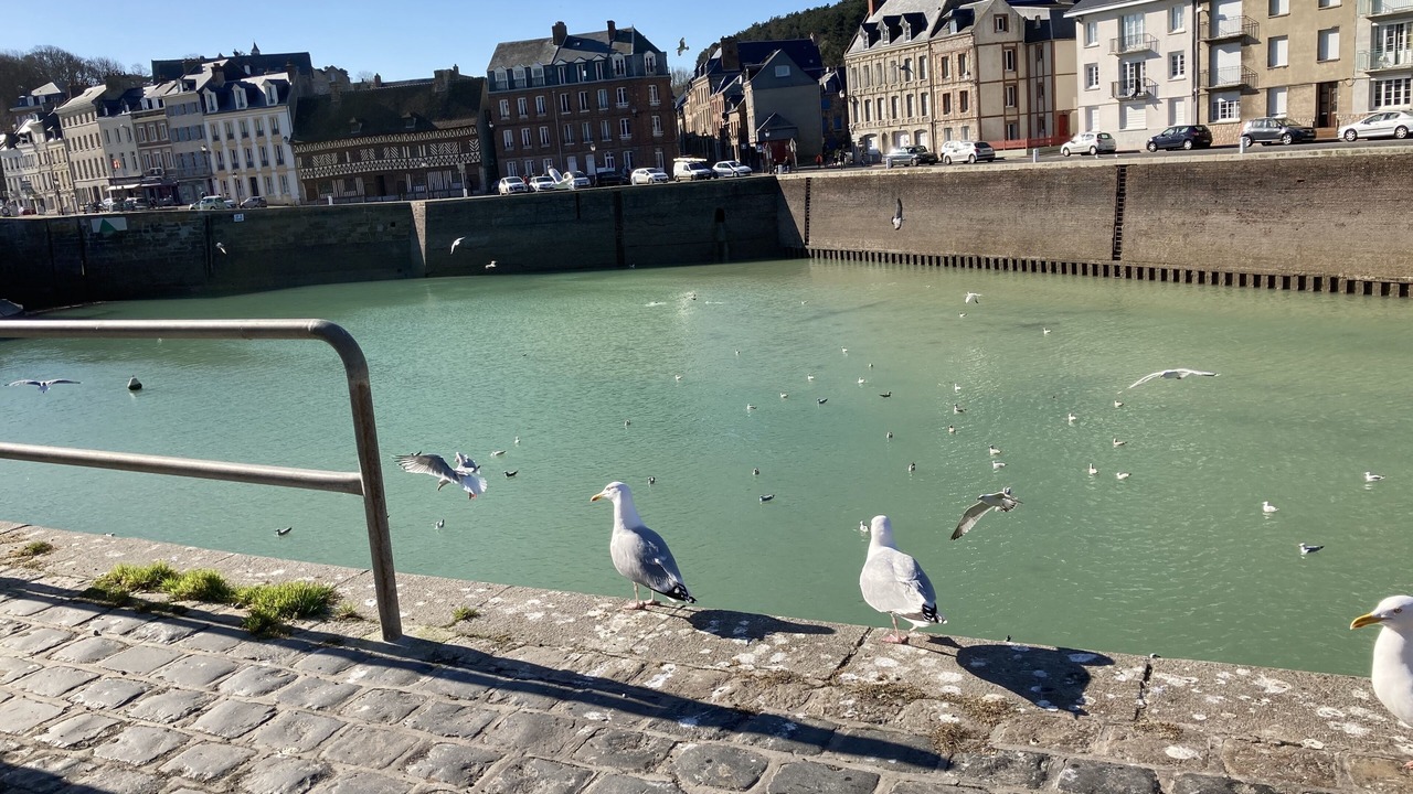 Photo of Others in Saint-Valery-en-Caux