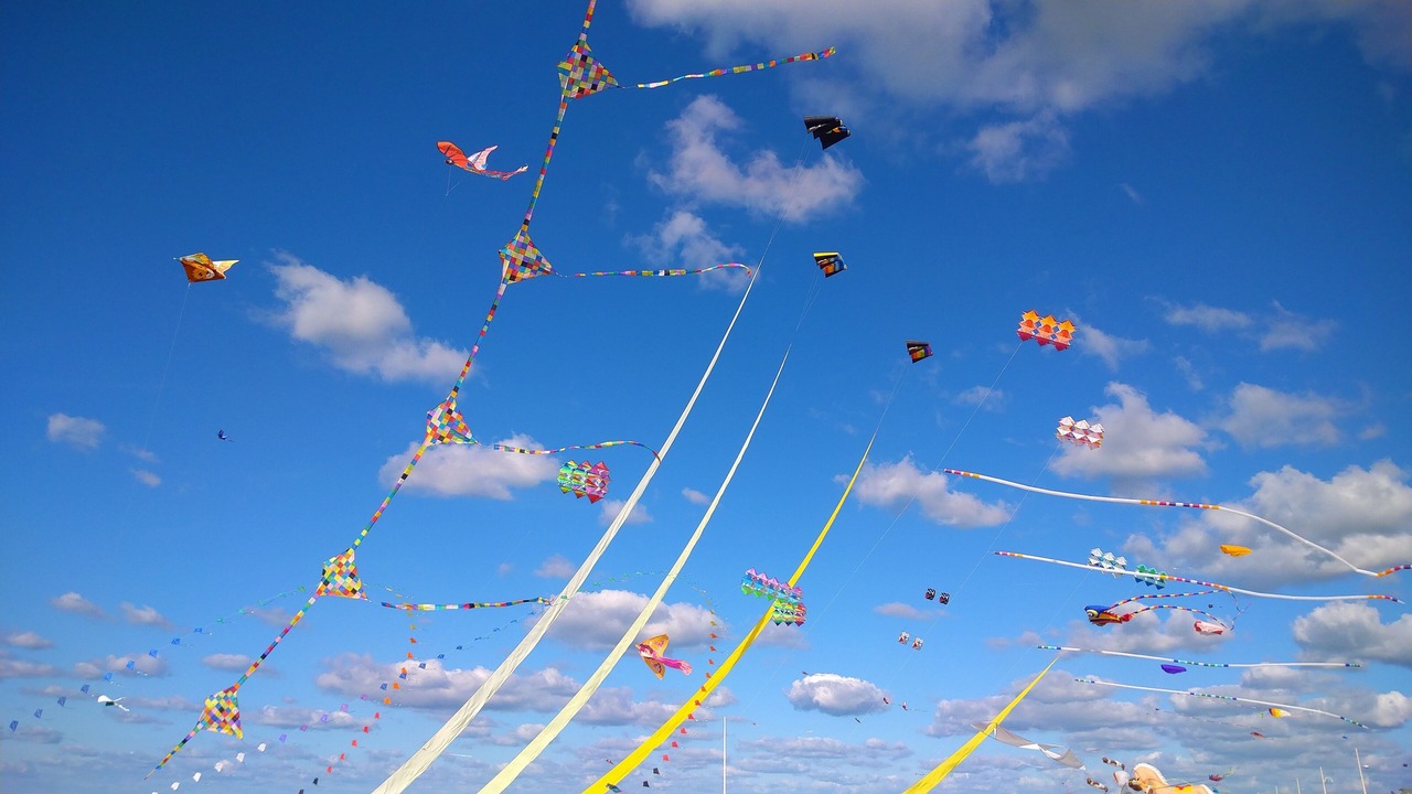 Photo of Others in Arques-la-Bataille