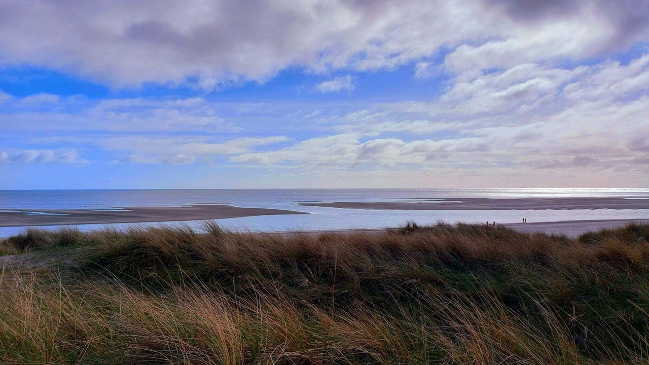 Photo of Others in Henne Strand