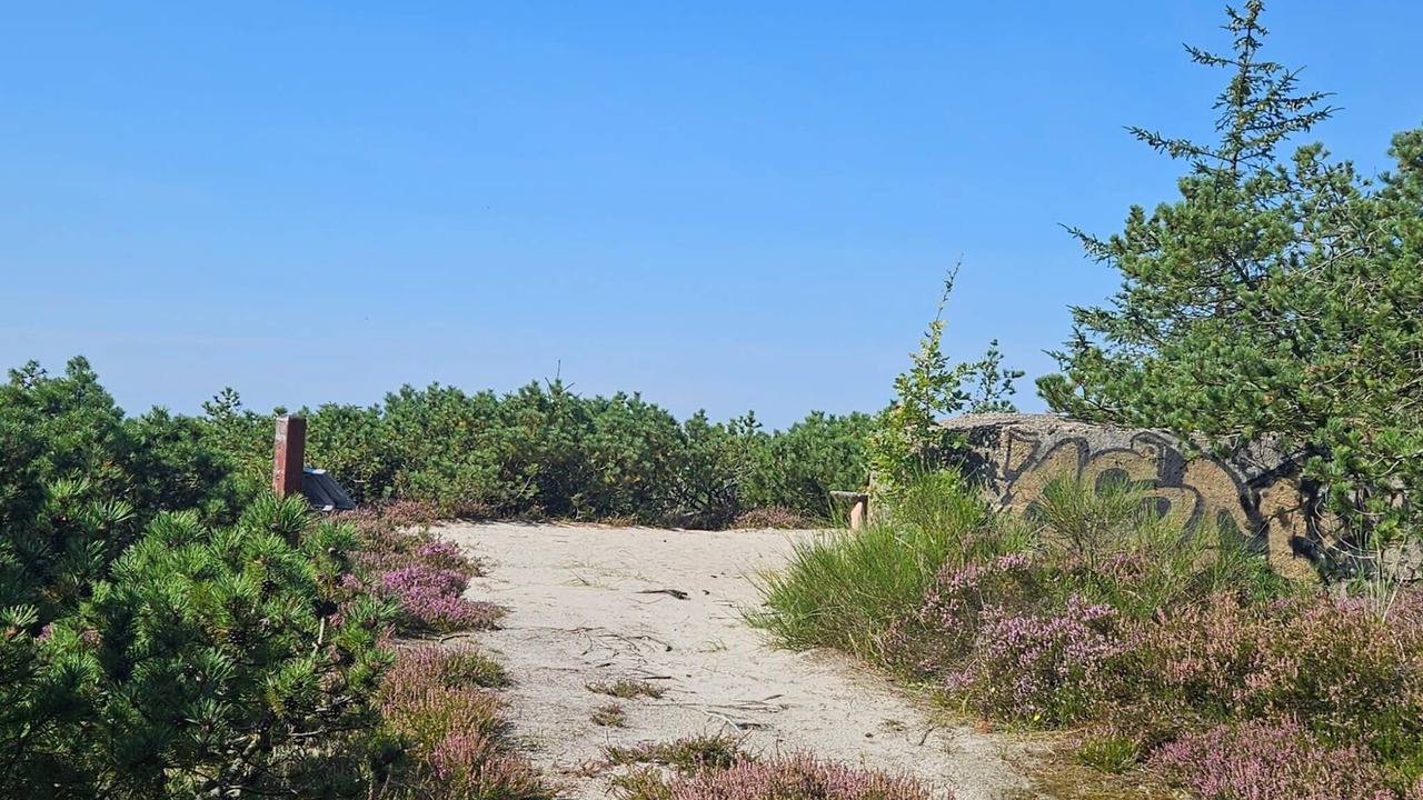 Photo of Others in Henne Strand