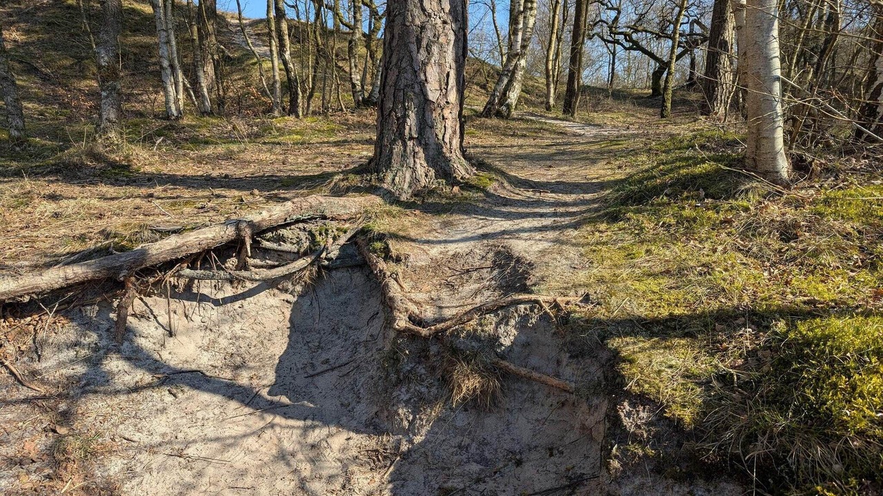 Photo of Others in Henne Strand