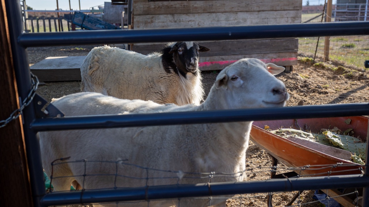 Photo of Others in Sonoma