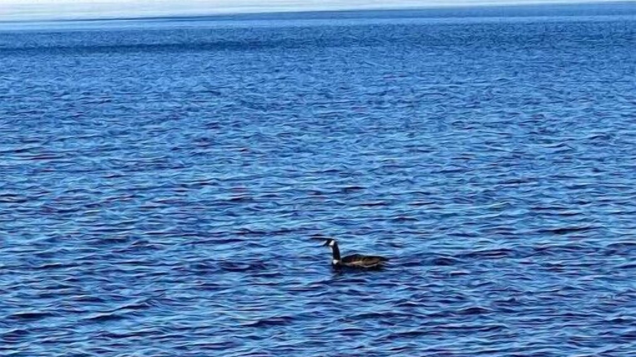 Photo of Others in Baileyville