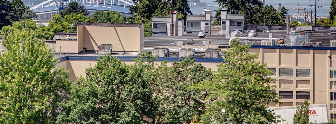 Photo of Outdoor in Judkins Park