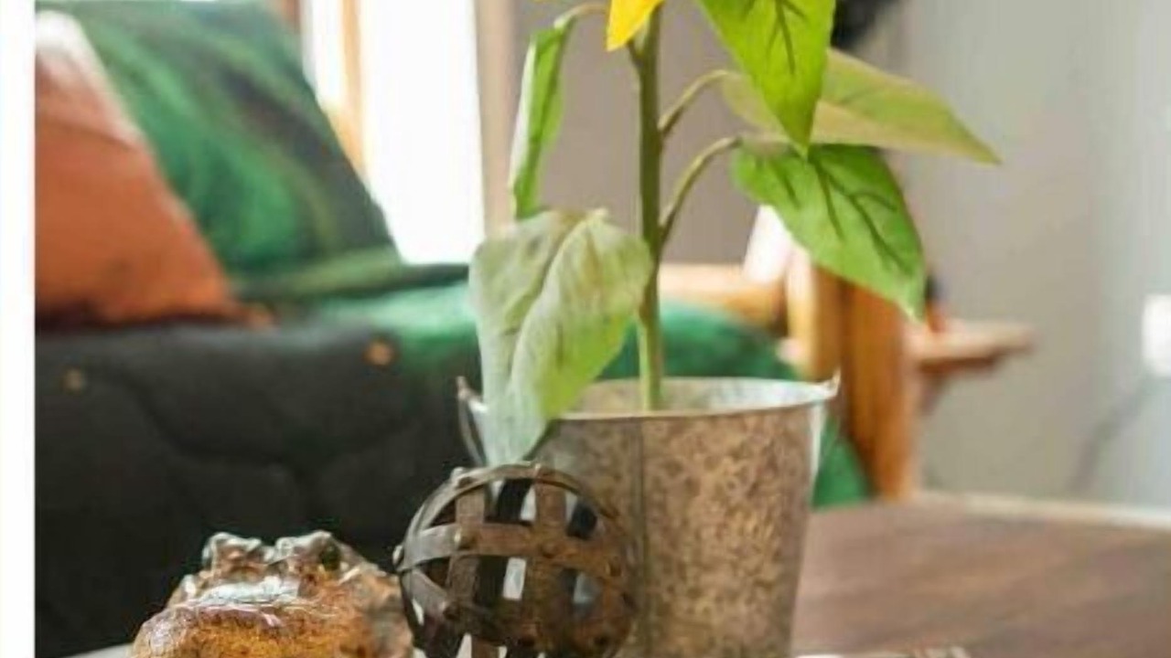 Photo of Others in Bellefontaine