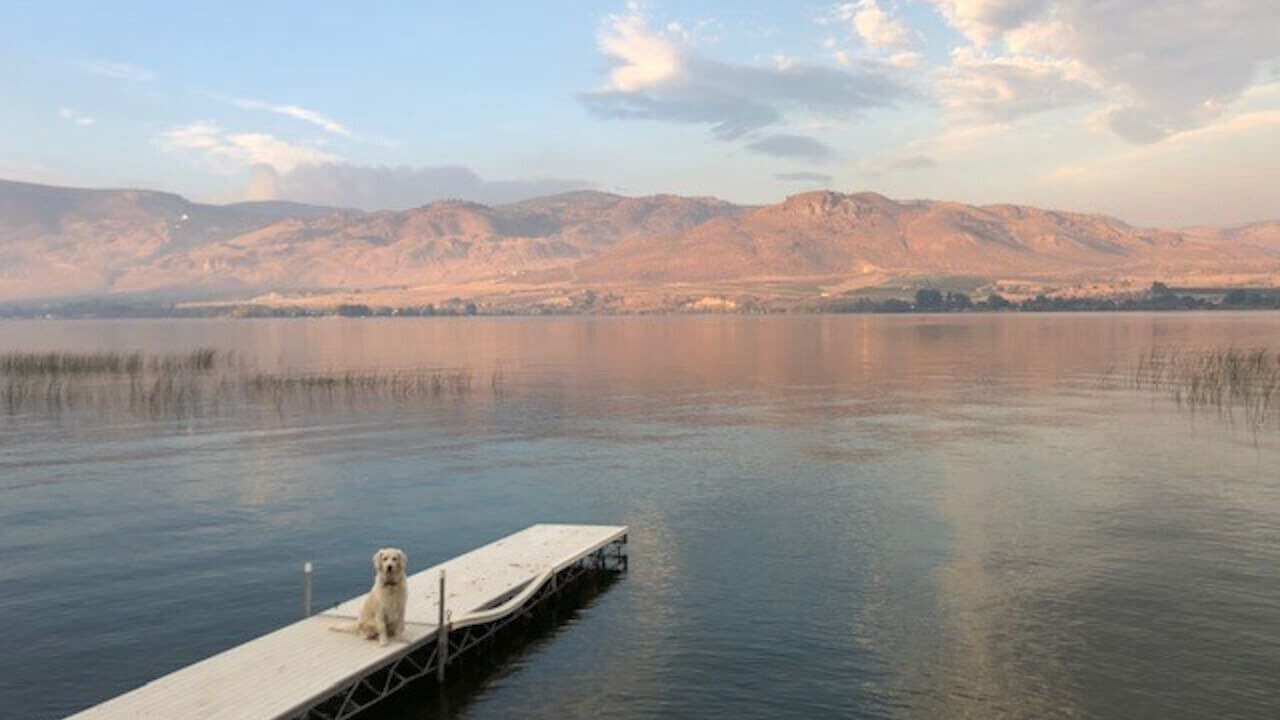 Photo of Others in Oroville