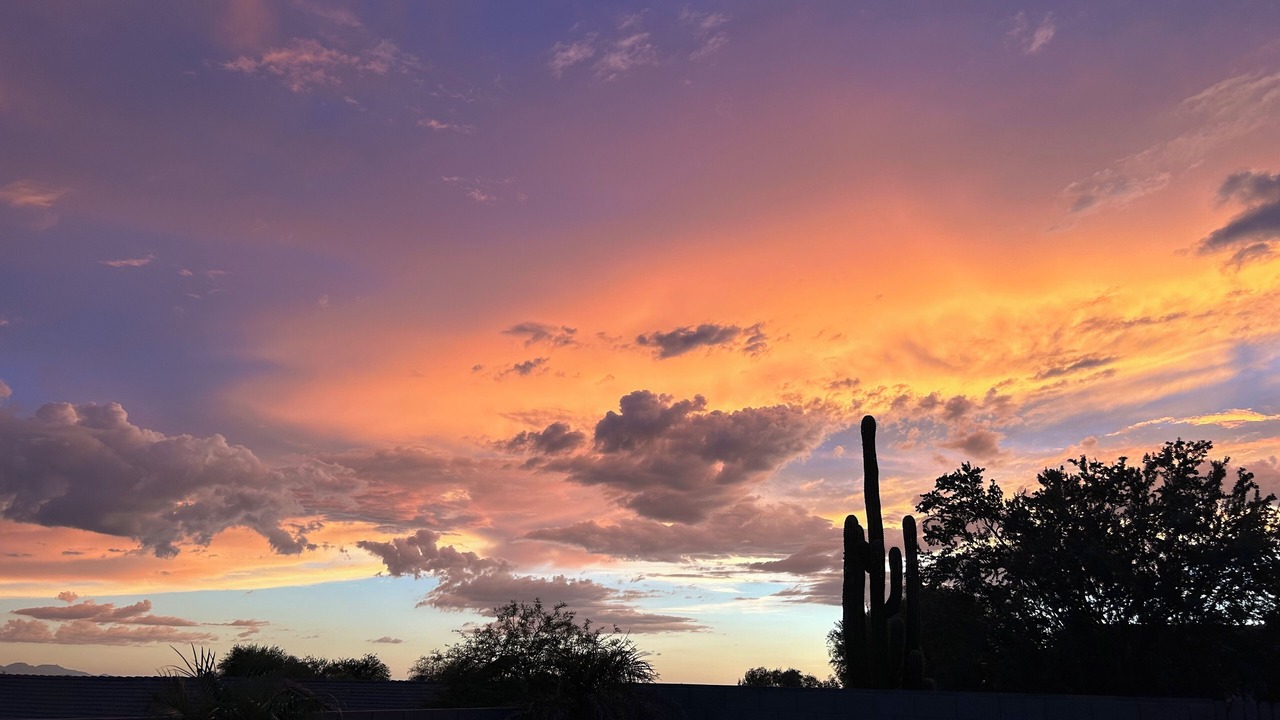 Photo of Others in Dove Mountain