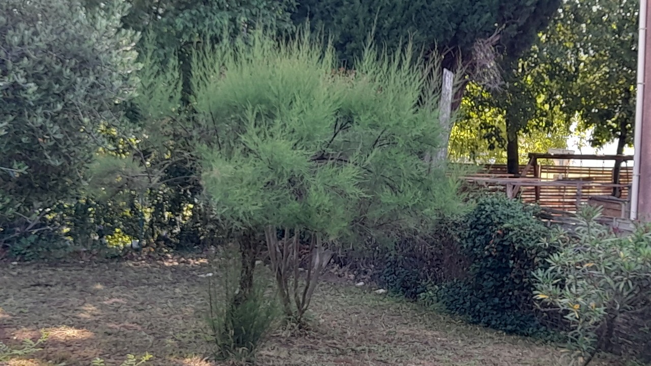Photo of Outdoor in Bagnols-sur-Ceze