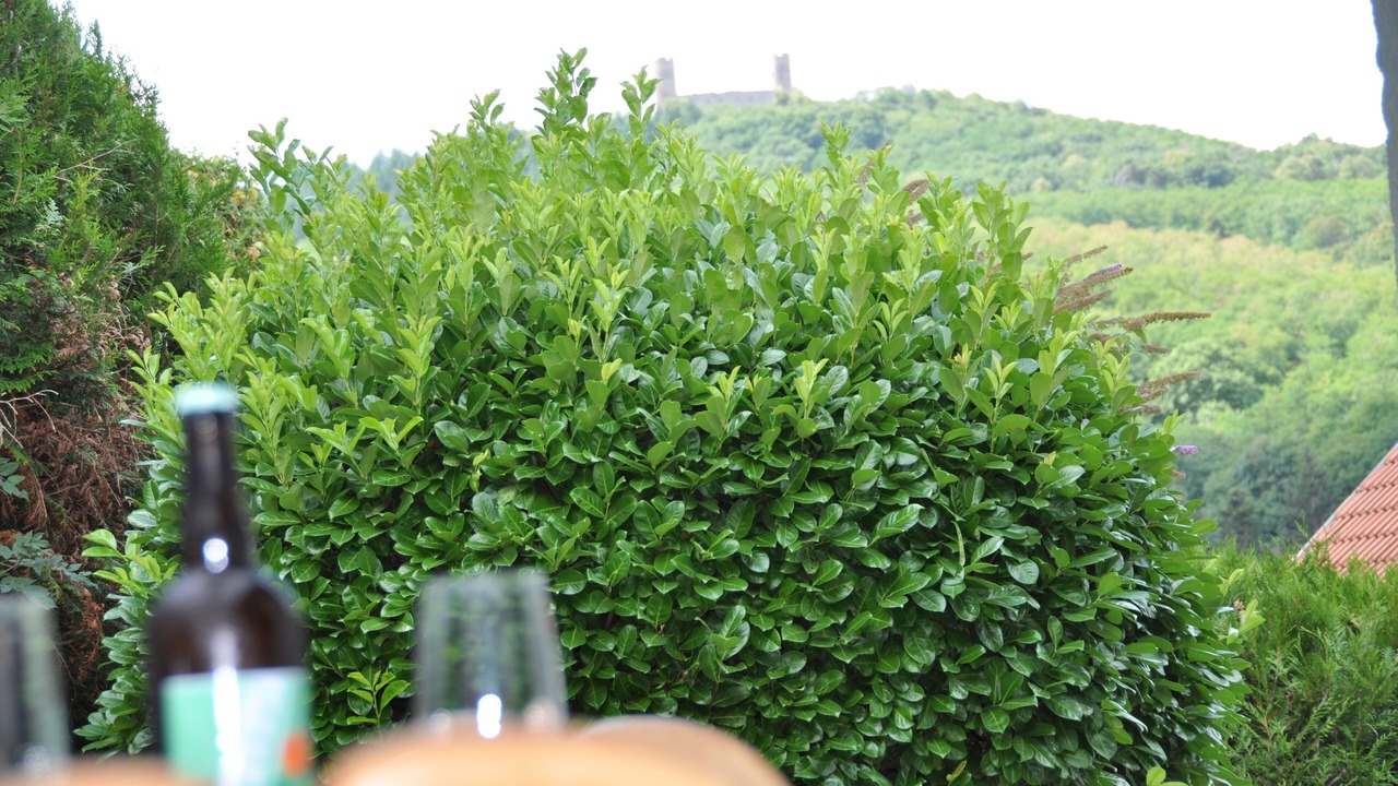 Photo of Others in Barr