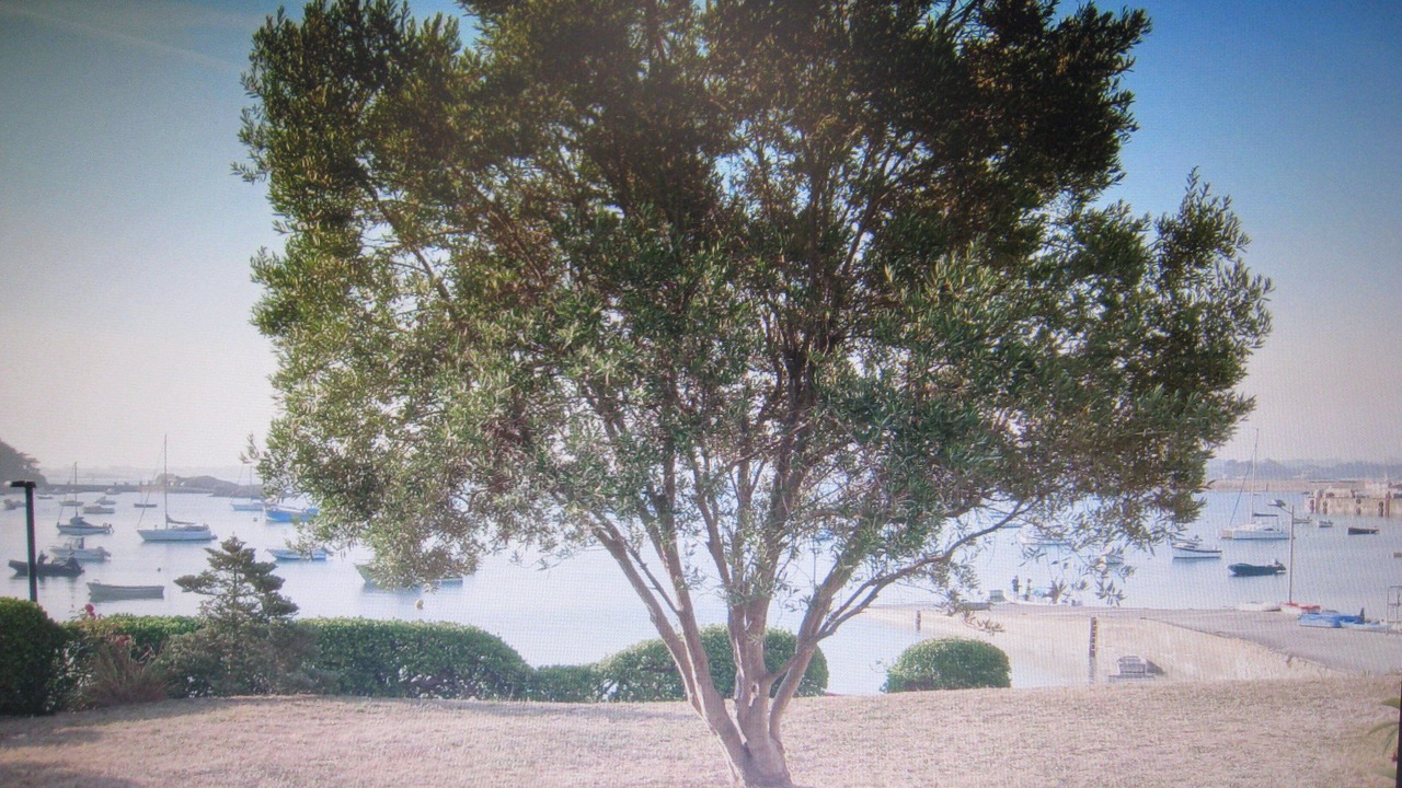 Photo of Outdoor in Sizun