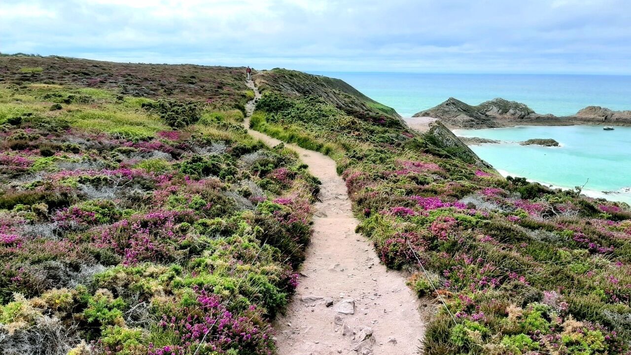 Photo of Others in Erquy