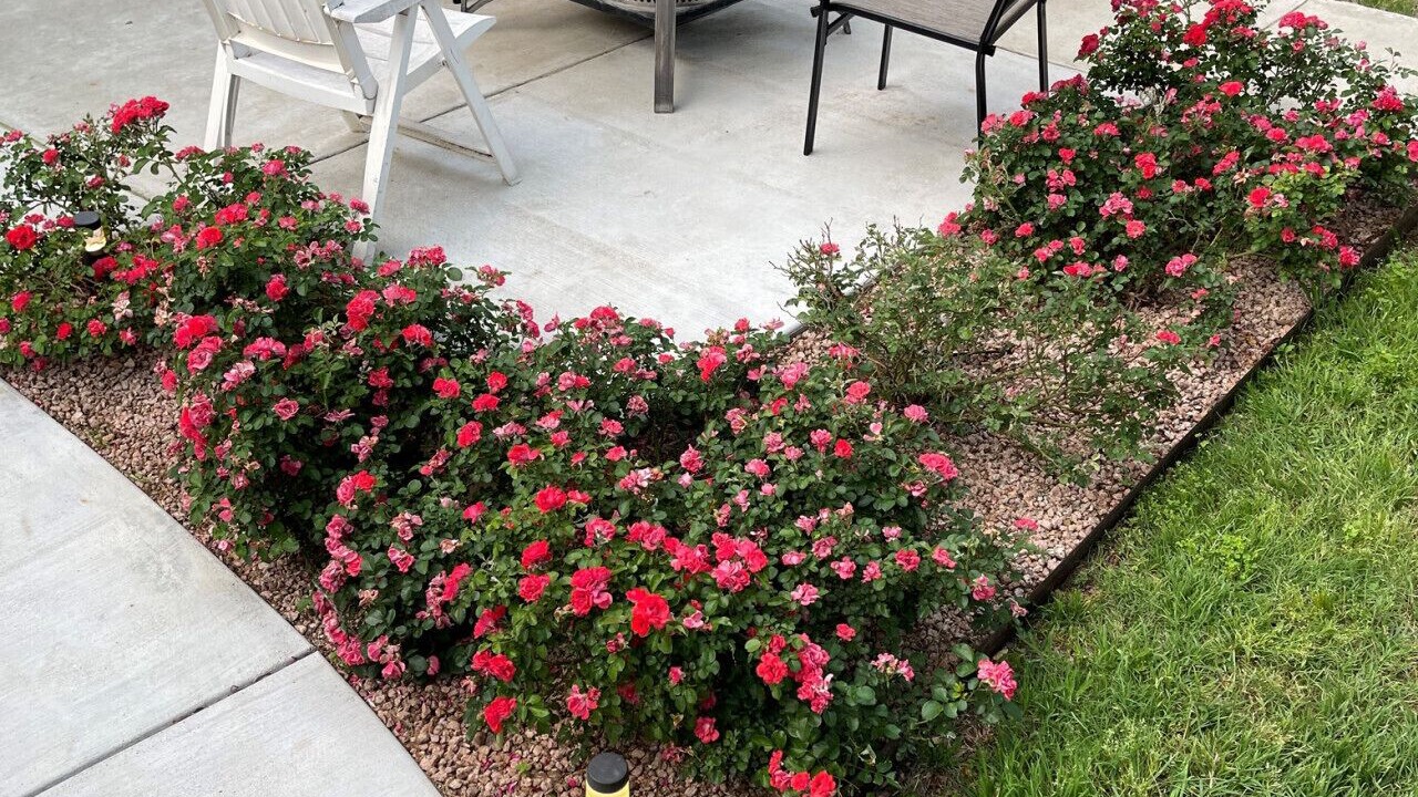 Photo of Outdoor in Georgetown