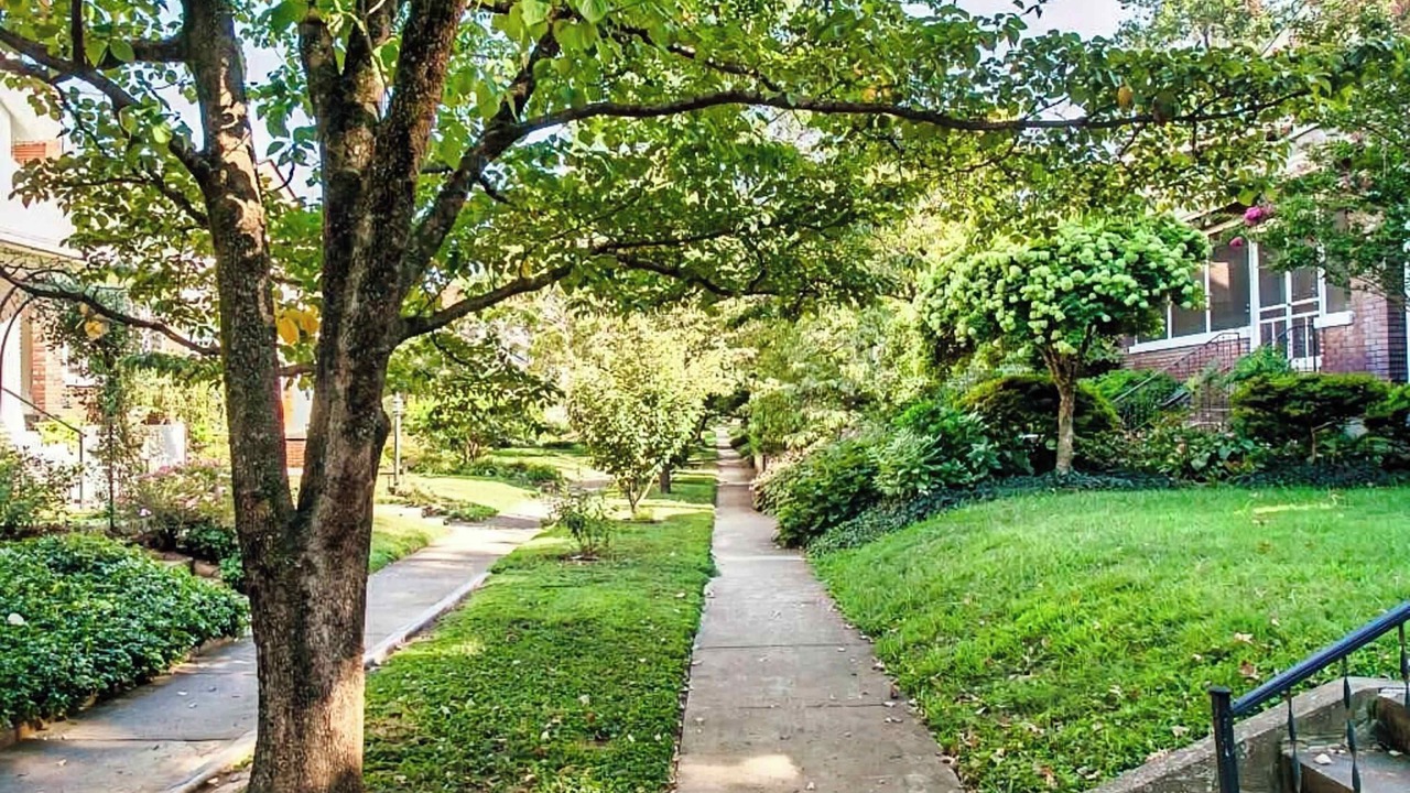 Photo of Outdoor in Bonnycastle