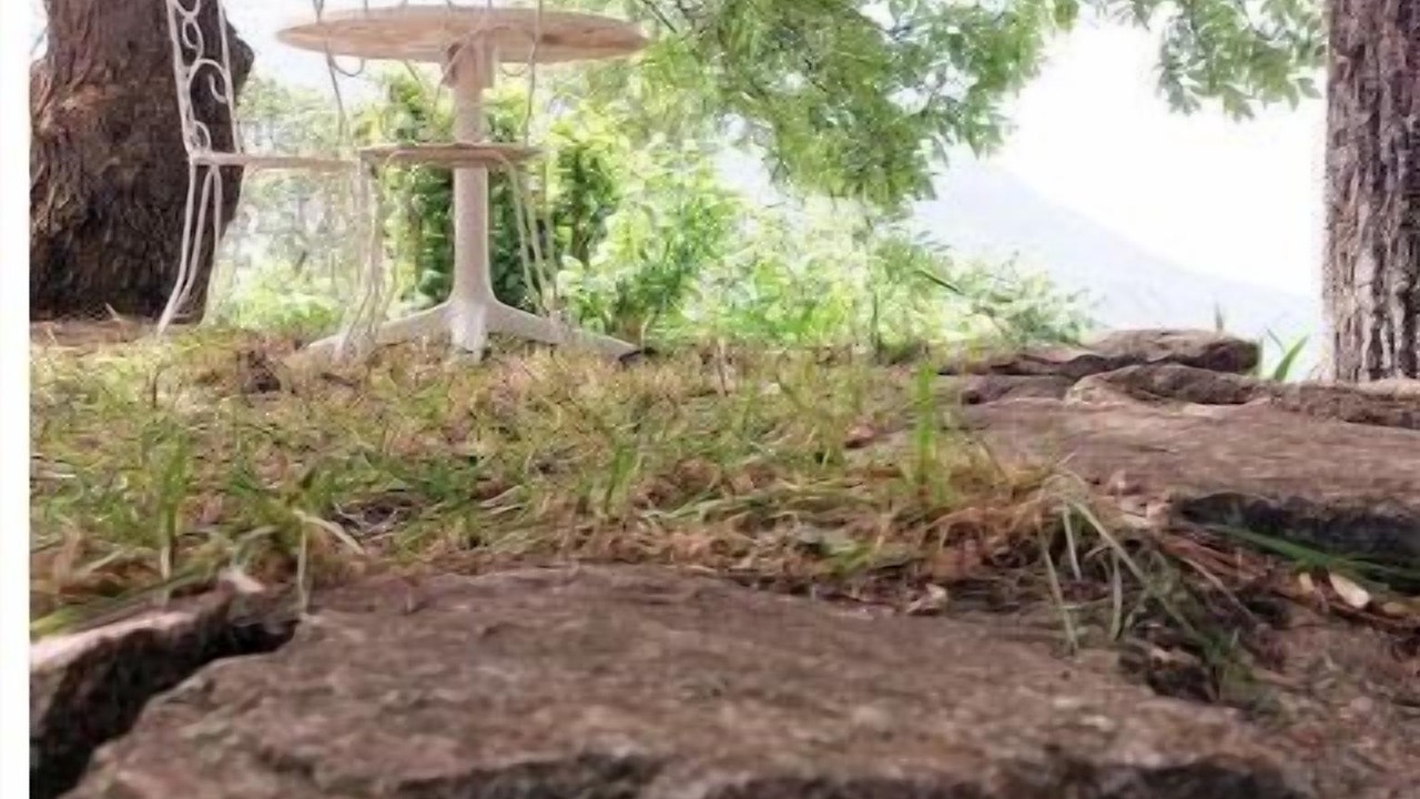 Photo of Others in Saint-Firmin