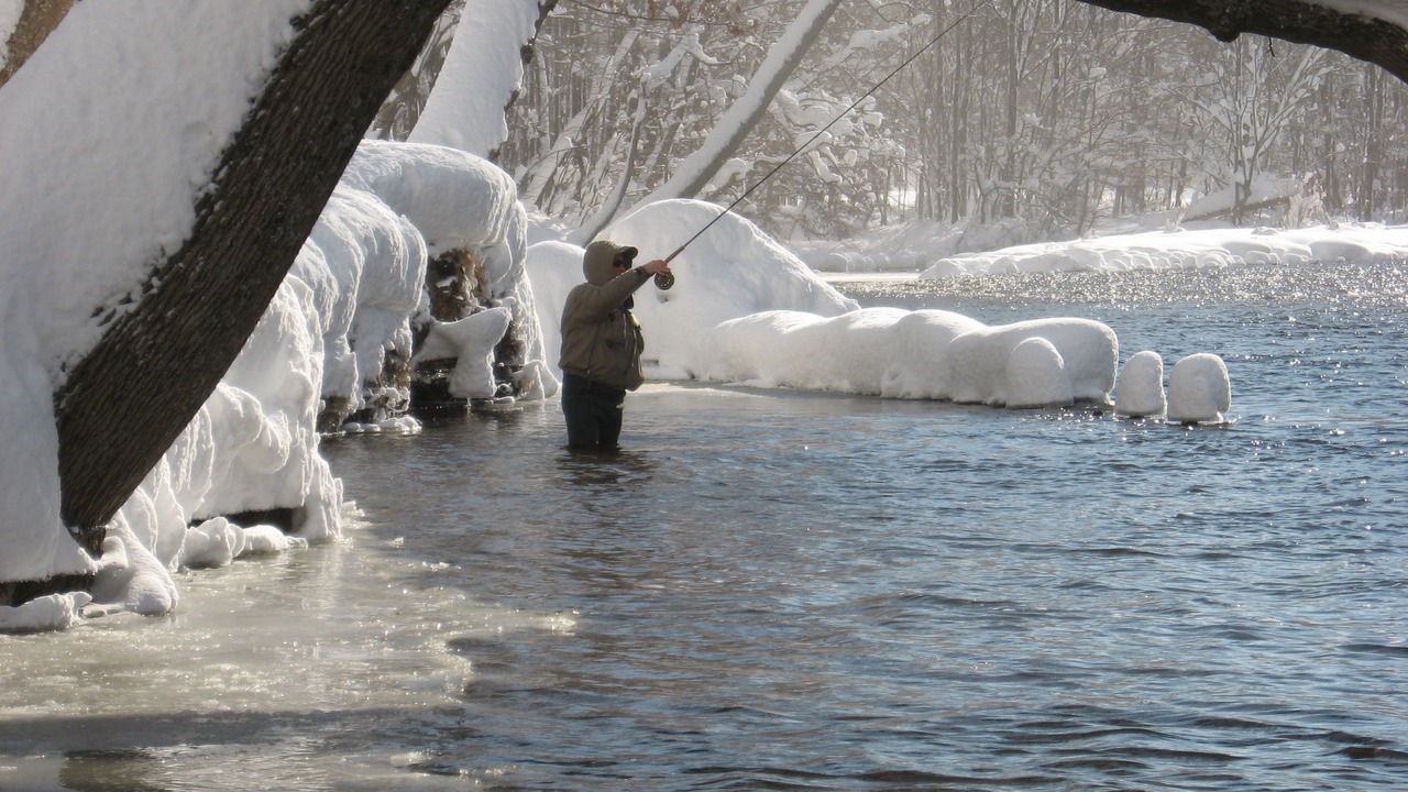 Photo of Outdoor in Pulaski