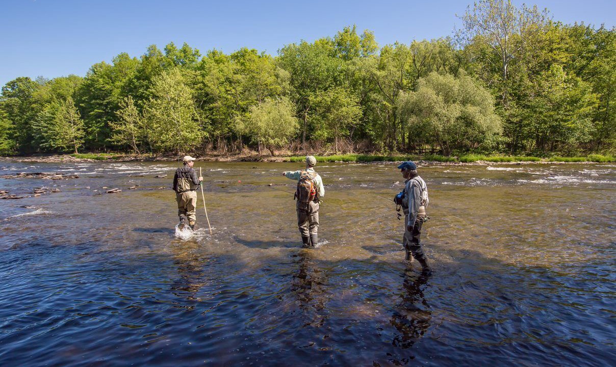 Photo of Others in Pulaski