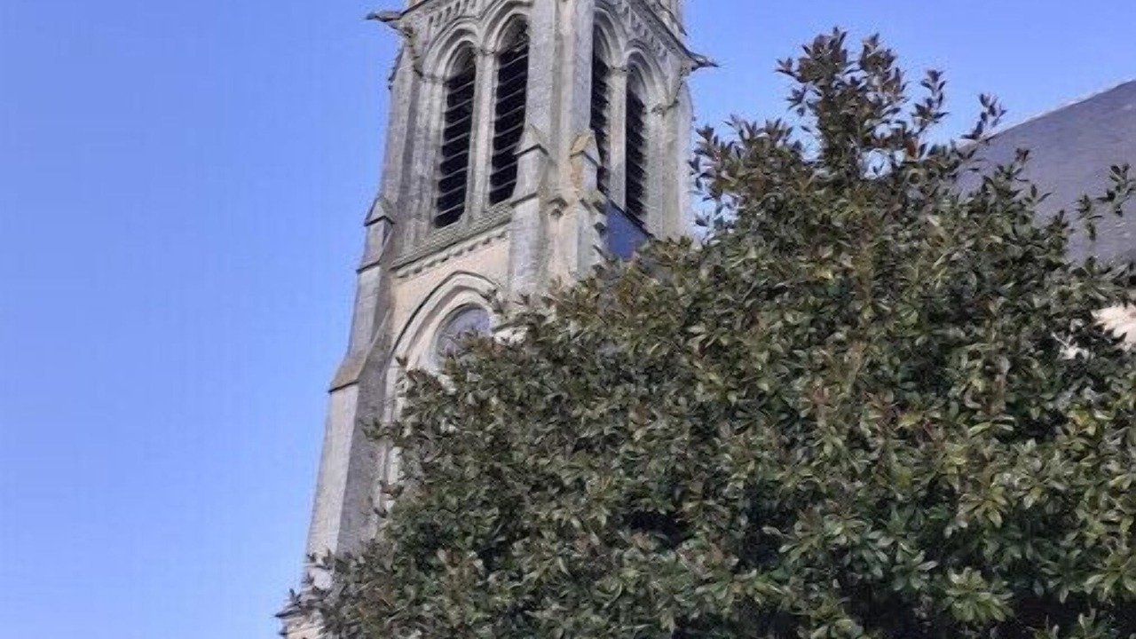 Photo of Others in Sille-le-Guillaume