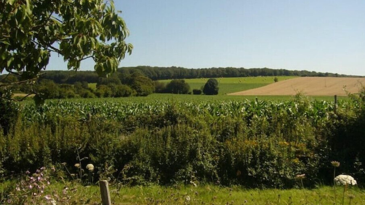 Photo of Outdoor in Saint-Pierre-sur-Orthe