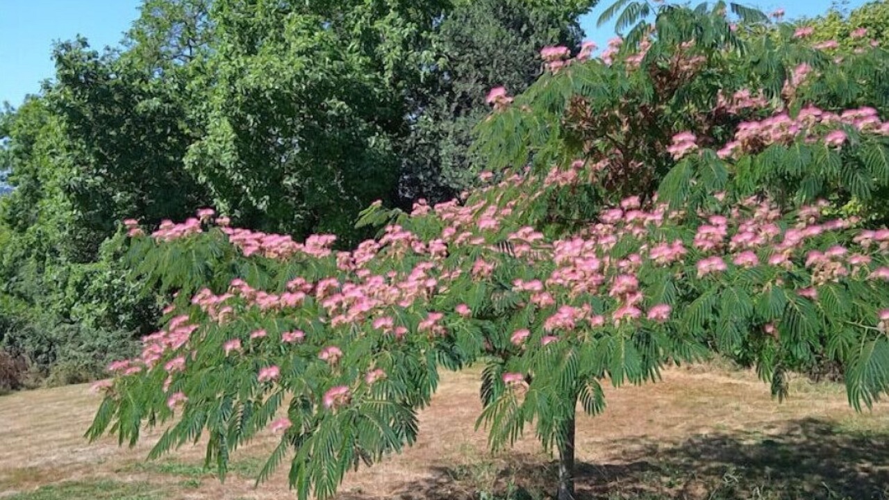Photo of Outdoor in Saint-Pierre-sur-Orthe