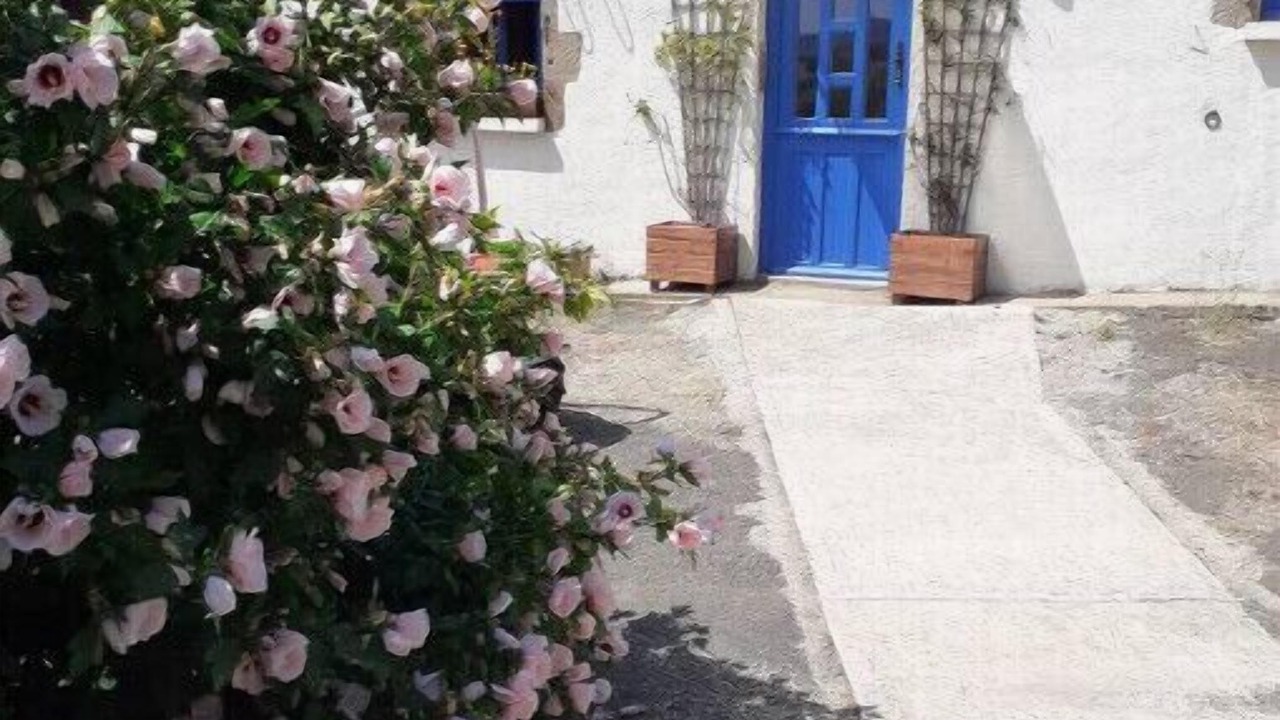 Photo of Outdoor in Saint-Pierre-sur-Orthe