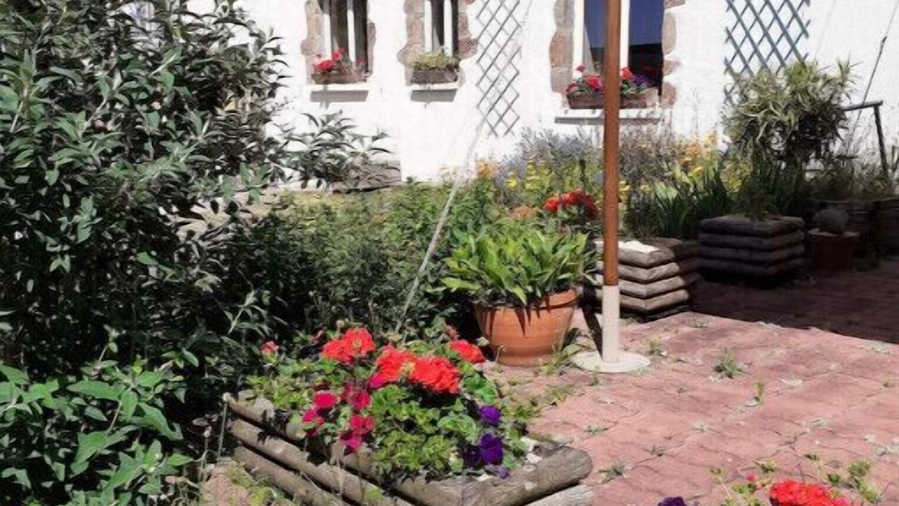 Photo of Outdoor in Saint-Pierre-sur-Orthe