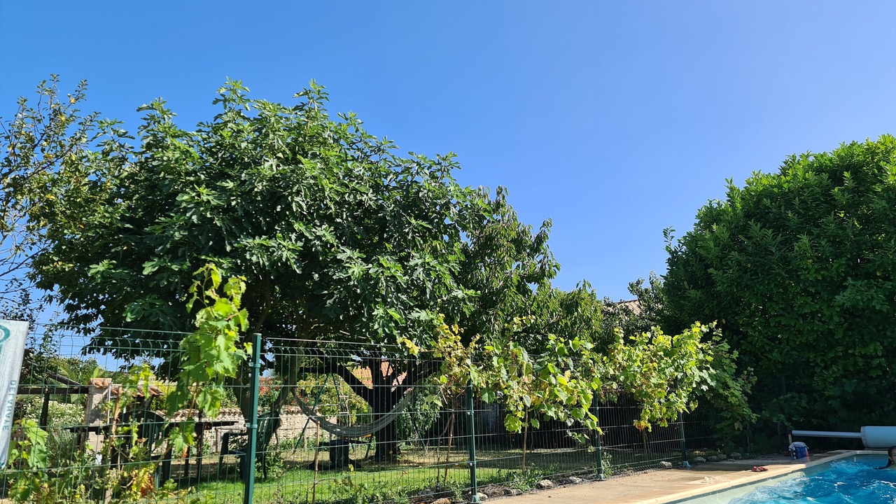 Photo of Outdoor in Saint-Mard