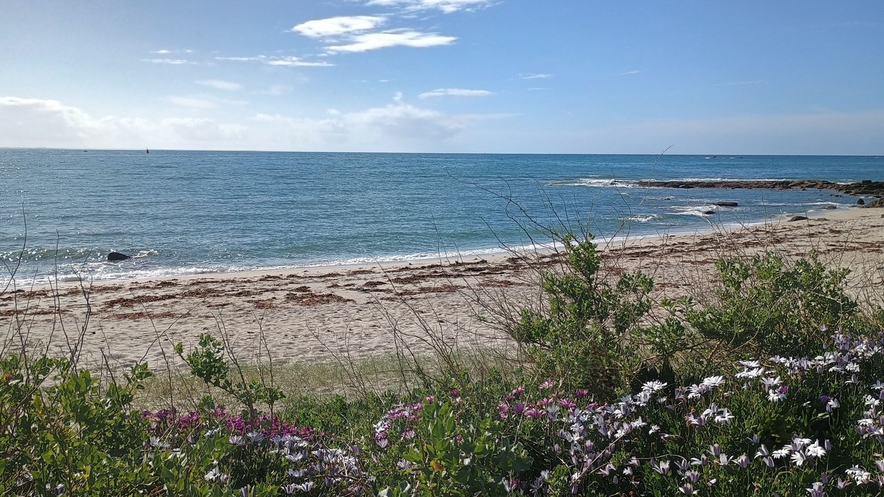 Photo of Others in Loctudy