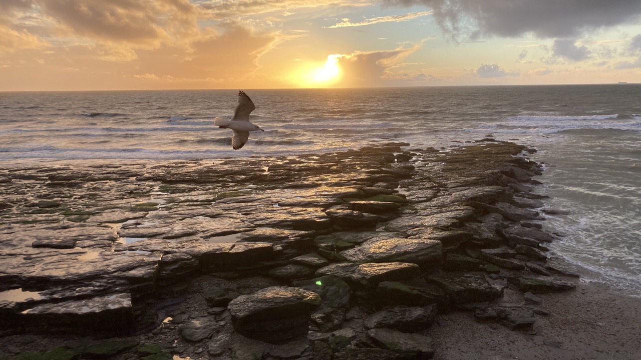 Photo of Others in Ambleteuse