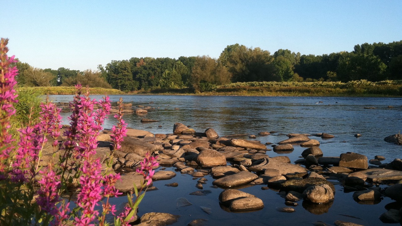 Photo of Outdoor in Pulaski