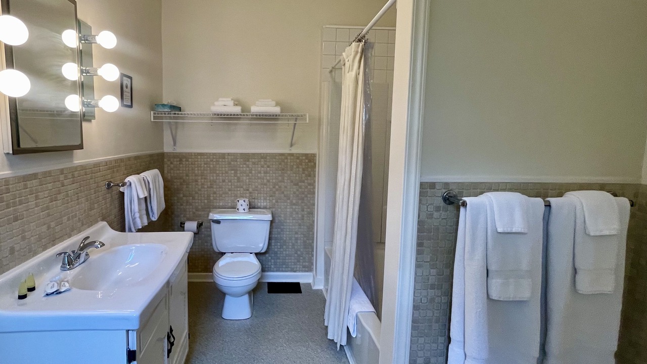 Photo of Bathroom in Pulaski