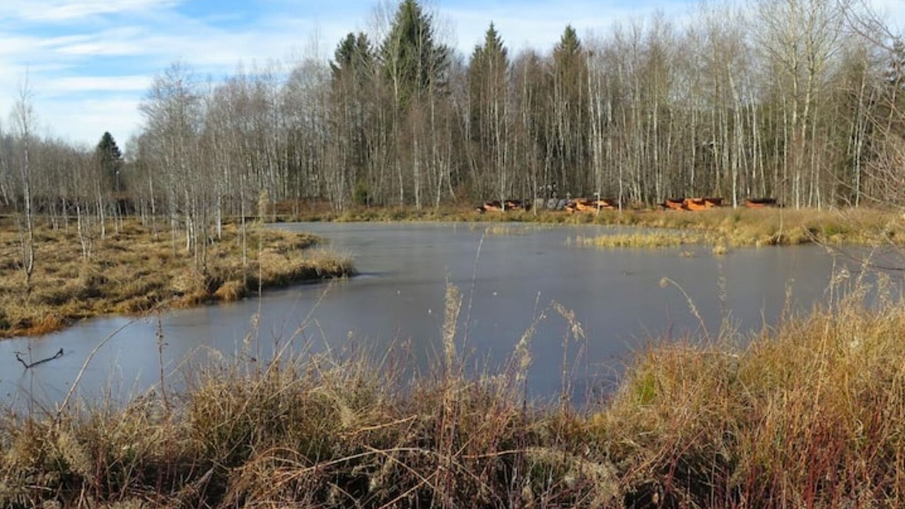 Photo of Others in La Chaux-du-Milieu