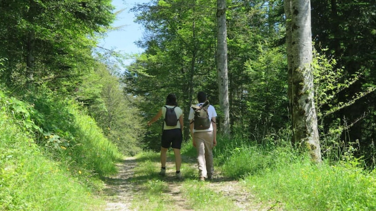Photo of Outdoor in La Chaux-du-Milieu