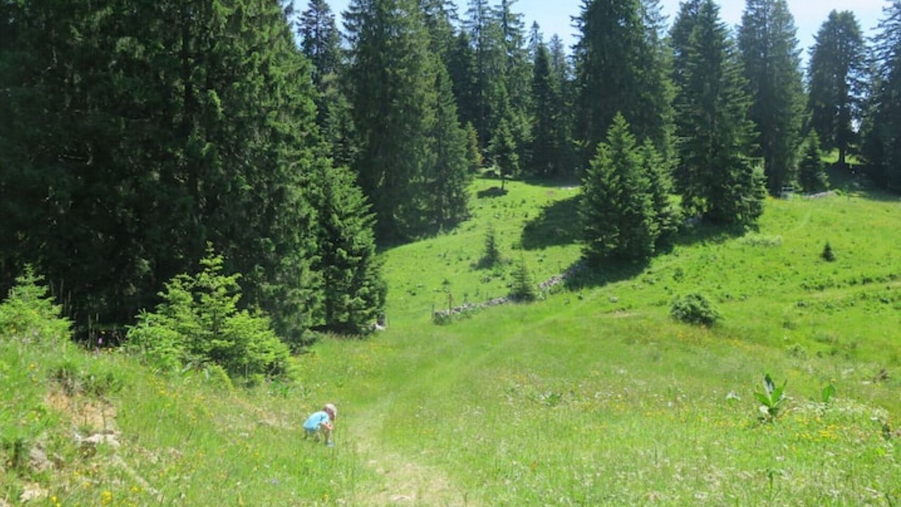 Photo of Others in La Chaux-du-Milieu