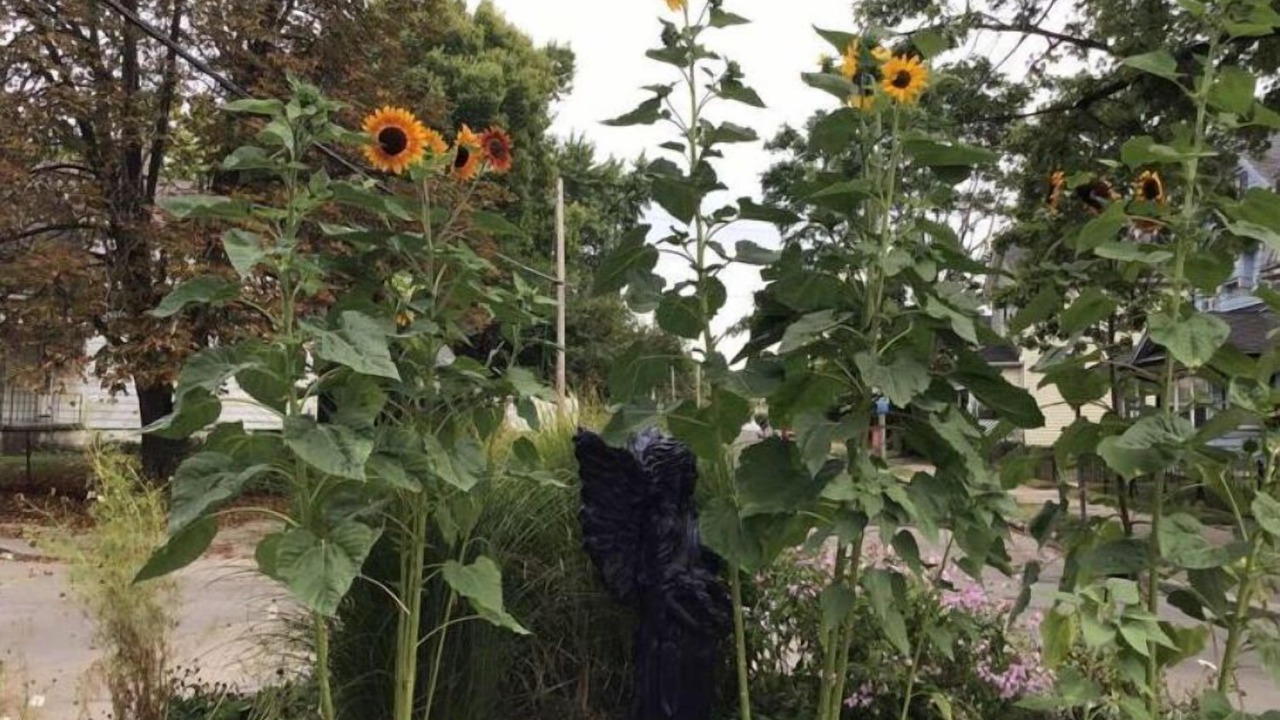 Photo of Outdoor in Dayton