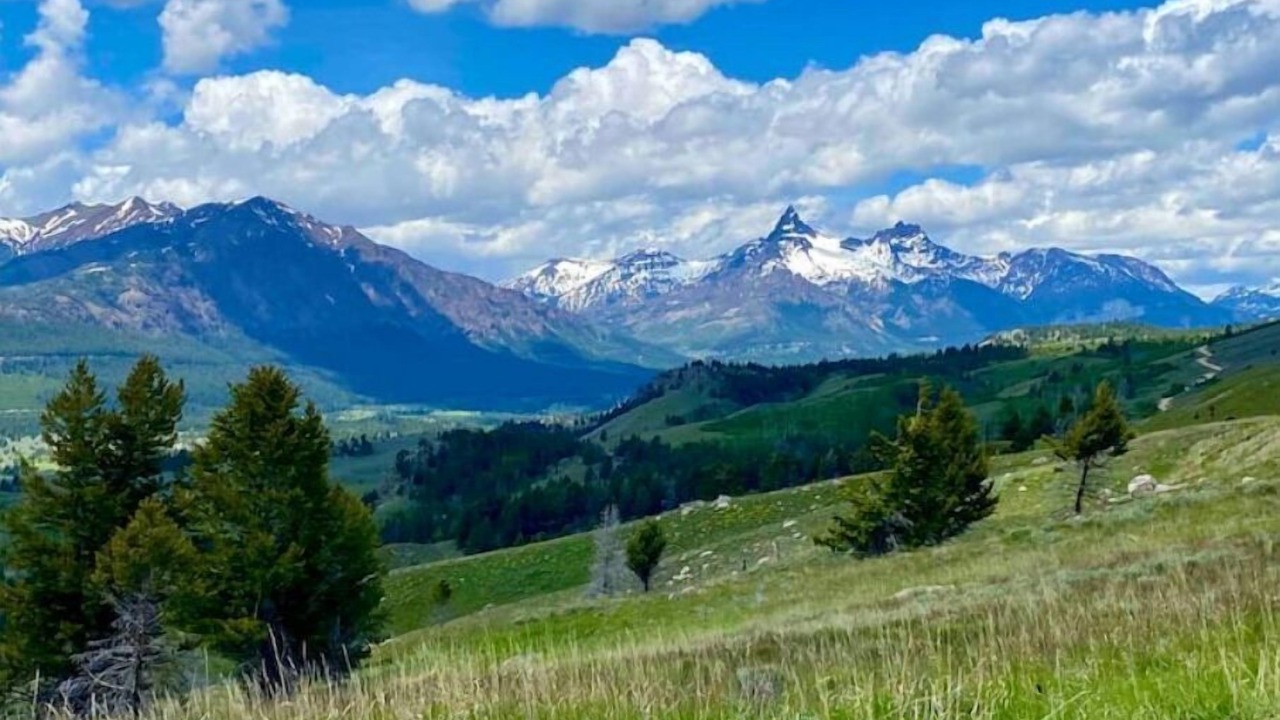 Photo of Others in Big Timber