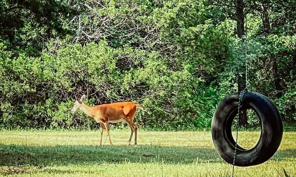 Photo of Others in Checotah