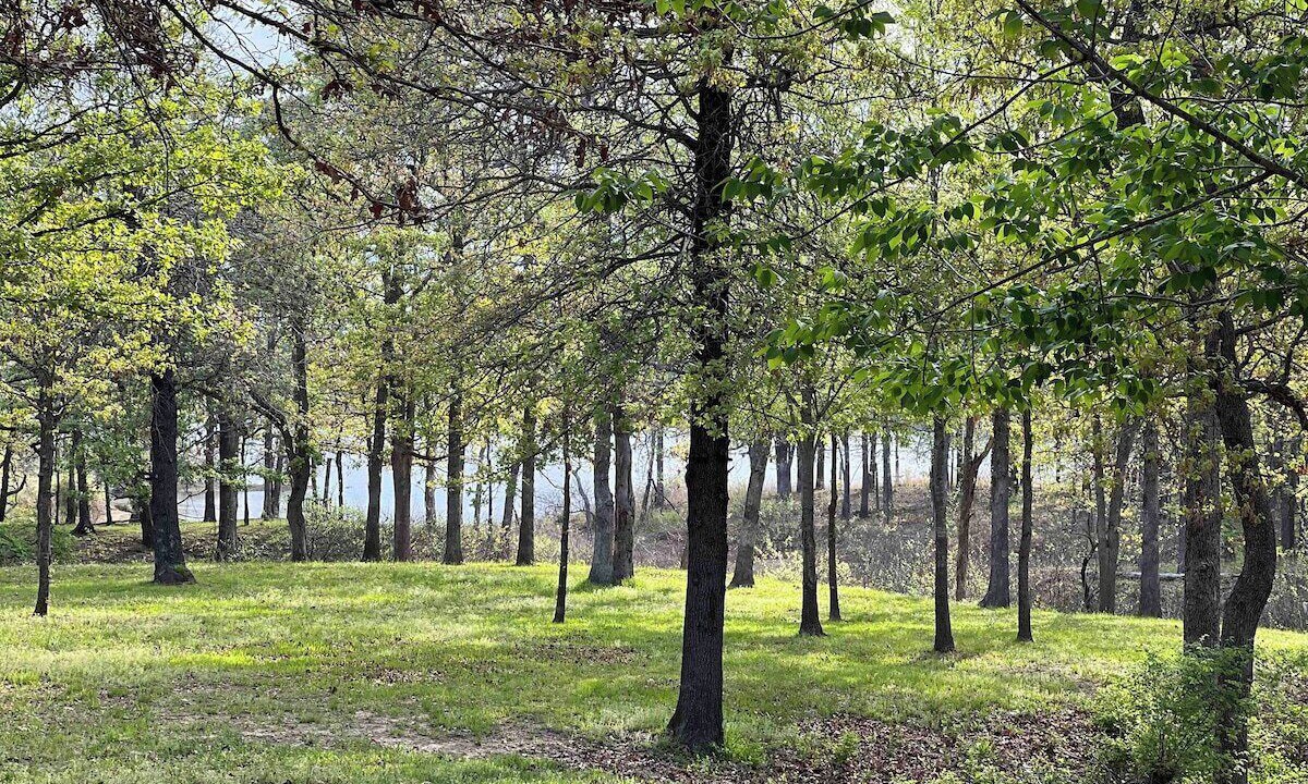 Photo of Outdoor in Checotah