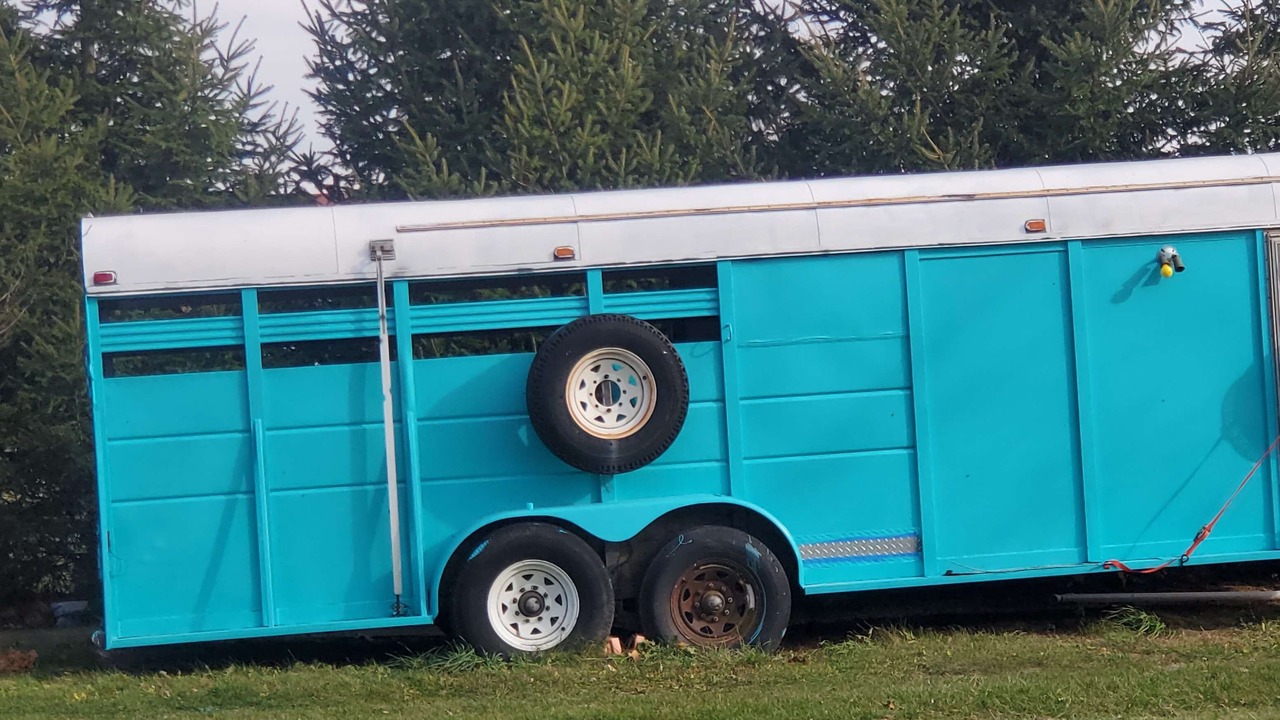 Photo of Outdoor in New Castle