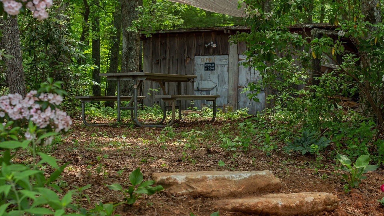 Photo of Others in Hendersonville
