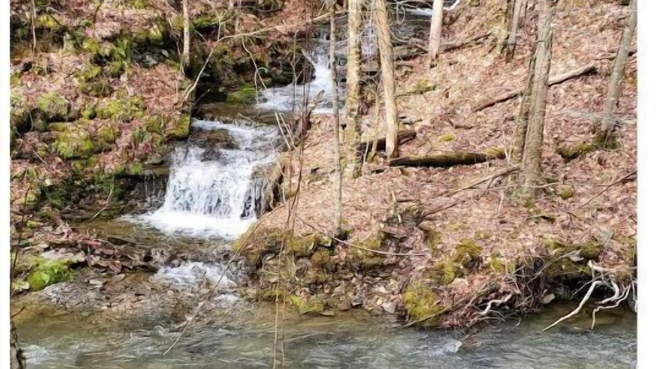 Photo of Outdoor in Newfield