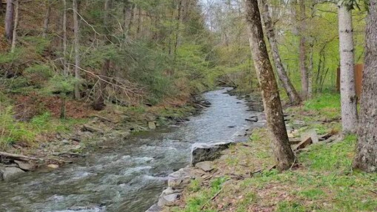 Photo of Outdoor in Newfield