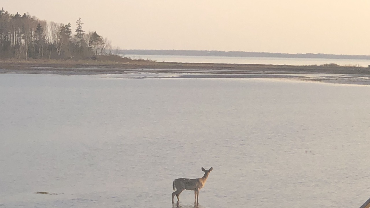 Photo of Others in Botsford