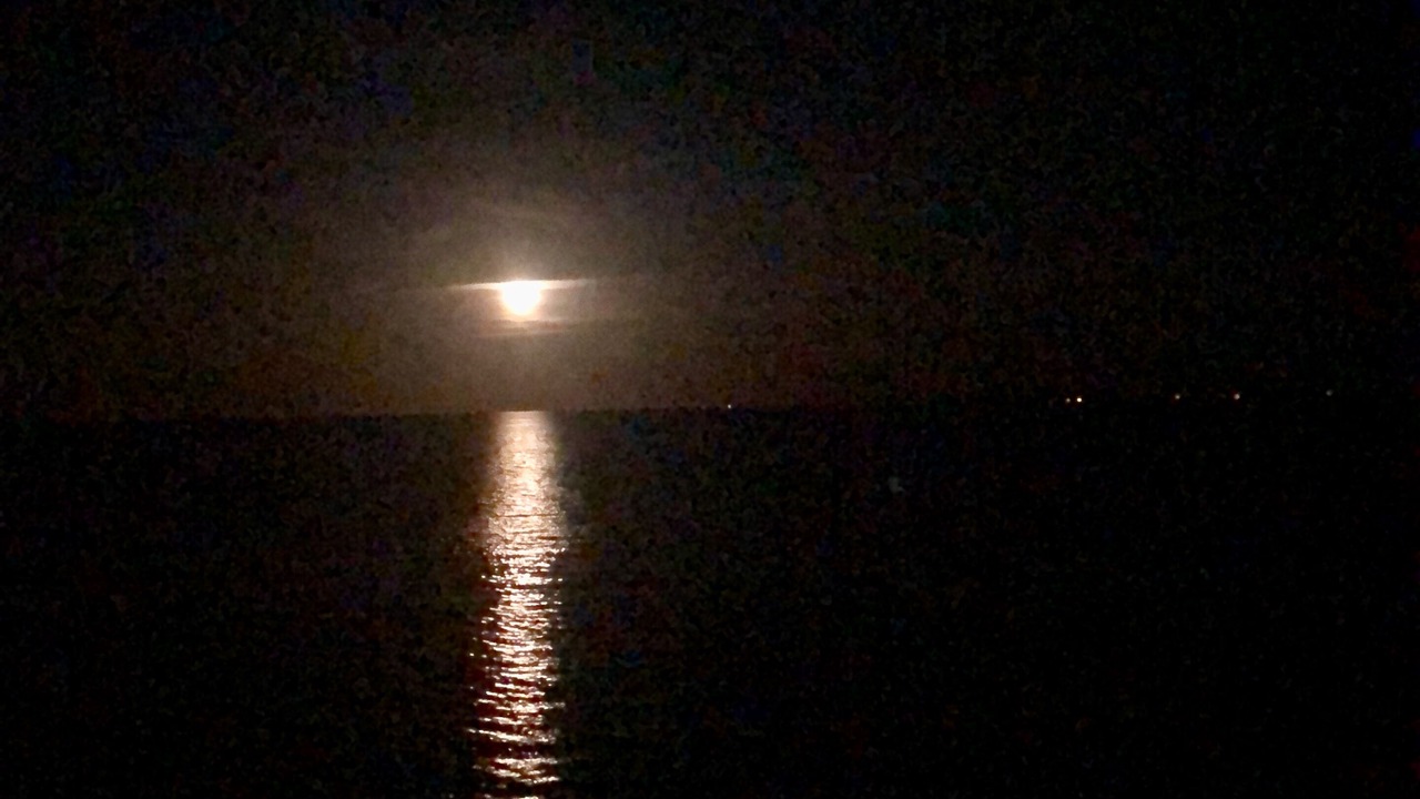 Photo of Others in Botsford