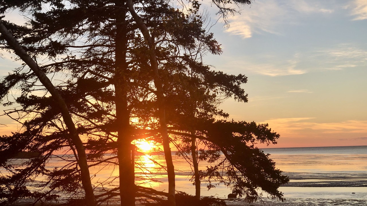 Photo of Others in Botsford