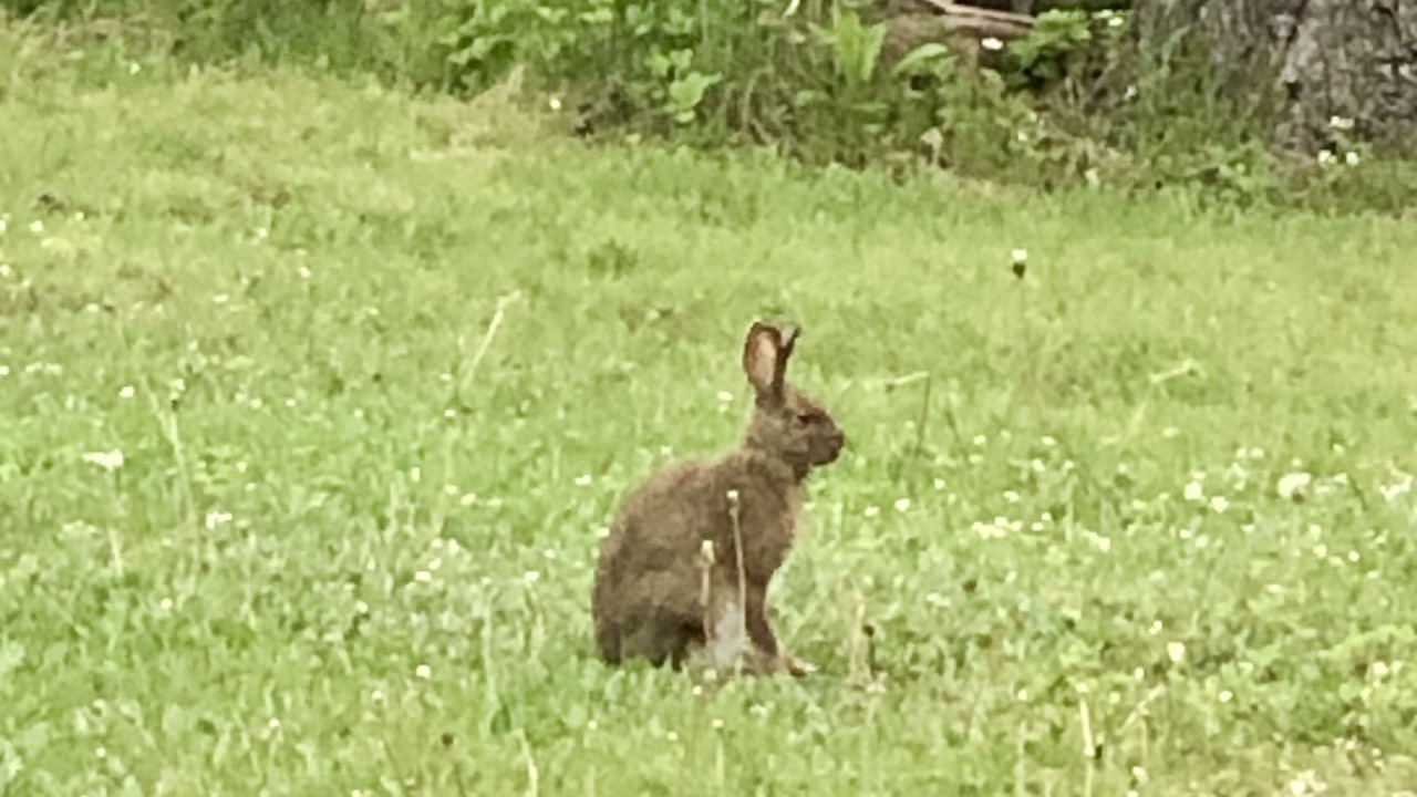 Photo of Others in Botsford