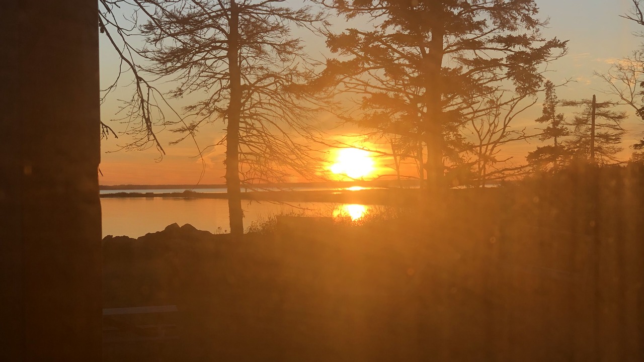 Photo of Others in Botsford