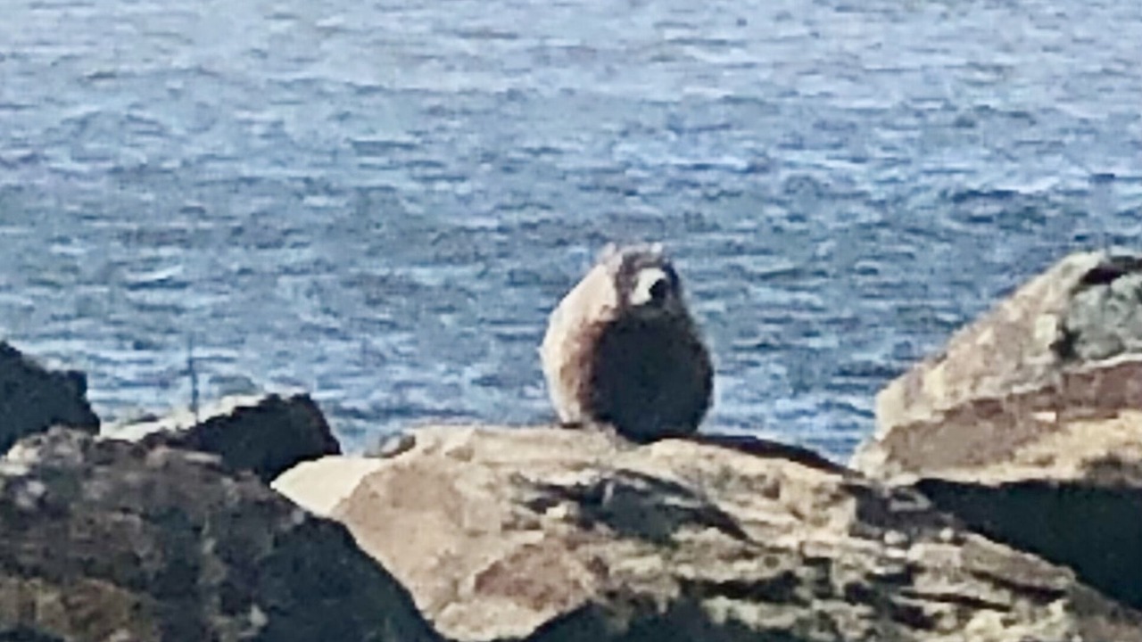 Photo of Outdoor in Botsford