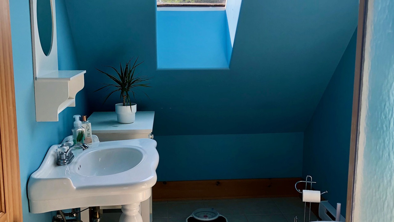 Photo of Bathroom in Botsford